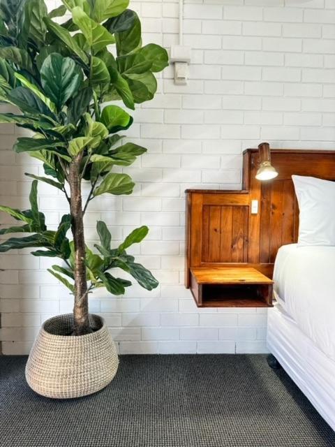 Pacific Sun Bargara Motel Ngoại thất bức ảnh